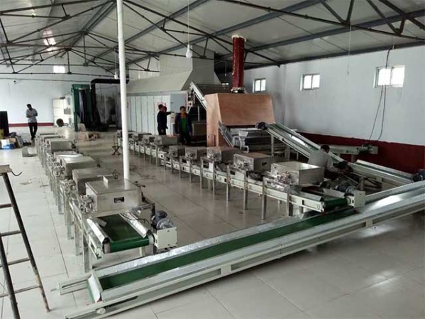 網帶式山楂片烘干機