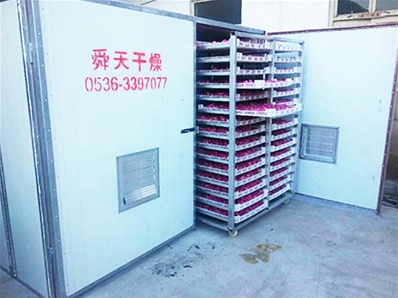 玫瑰花烘干機